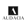 Premium Home Saunas & Wellness Experts - Audacia